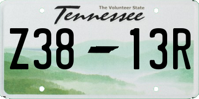 TN license plate Z3813R