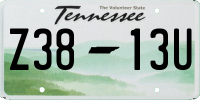 TN license plate Z3813U