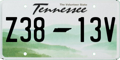 TN license plate Z3813V
