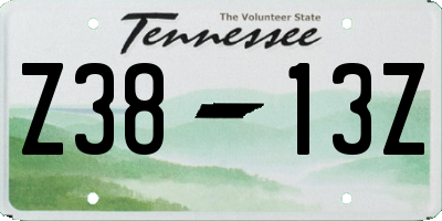 TN license plate Z3813Z