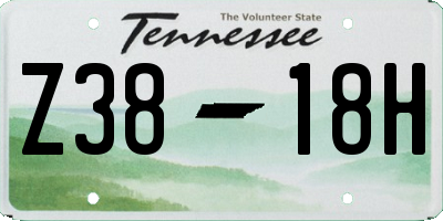 TN license plate Z3818H