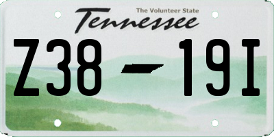 TN license plate Z3819I