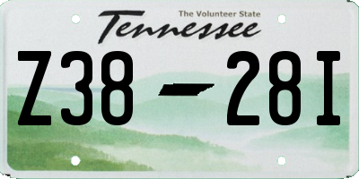 TN license plate Z3828I