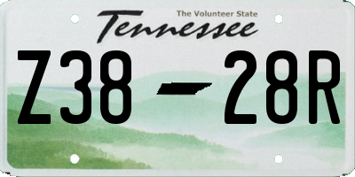 TN license plate Z3828R