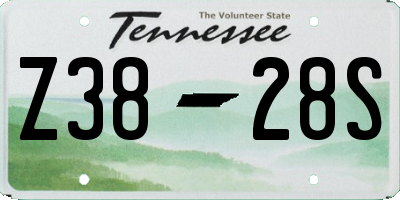 TN license plate Z3828S