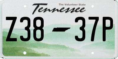 TN license plate Z3837P