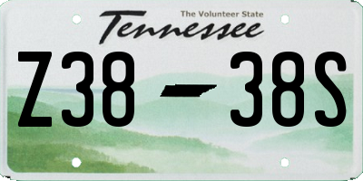 TN license plate Z3838S