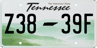 TN license plate Z3839F