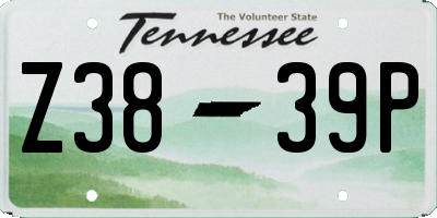 TN license plate Z3839P