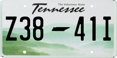 TN license plate Z3841I