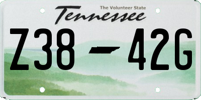 TN license plate Z3842G