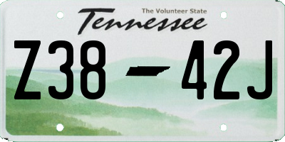 TN license plate Z3842J