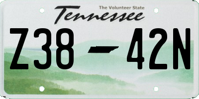 TN license plate Z3842N