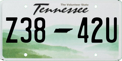 TN license plate Z3842U