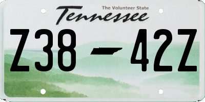 TN license plate Z3842Z