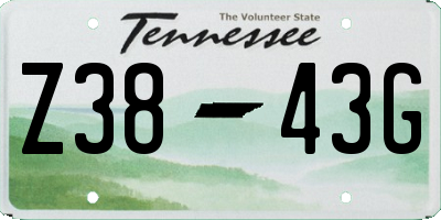 TN license plate Z3843G