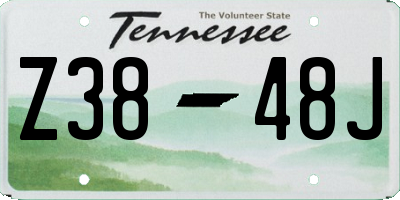 TN license plate Z3848J