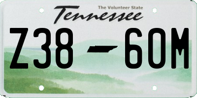 TN license plate Z3860M
