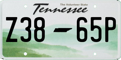 TN license plate Z3865P