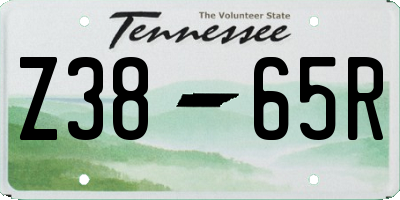 TN license plate Z3865R