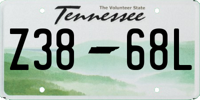 TN license plate Z3868L