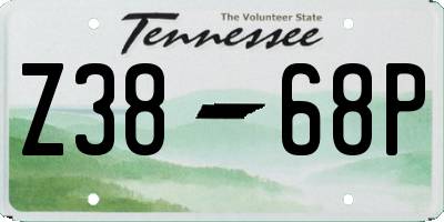TN license plate Z3868P