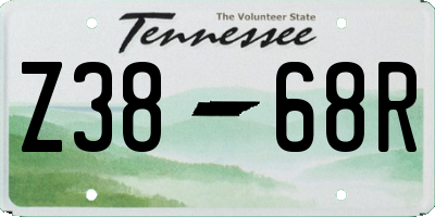 TN license plate Z3868R