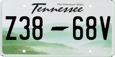 TN license plate Z3868V