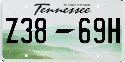 TN license plate Z3869H