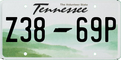 TN license plate Z3869P