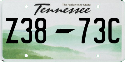 TN license plate Z3873C