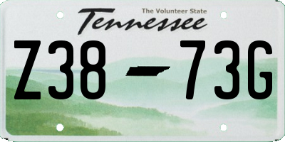 TN license plate Z3873G