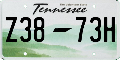 TN license plate Z3873H