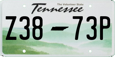 TN license plate Z3873P