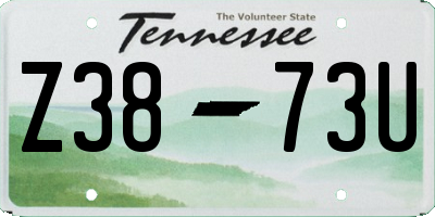 TN license plate Z3873U