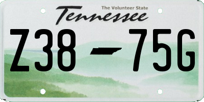 TN license plate Z3875G