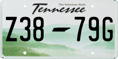 TN license plate Z3879G