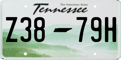 TN license plate Z3879H