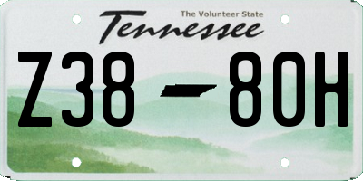 TN license plate Z3880H