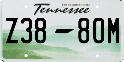 TN license plate Z3880M