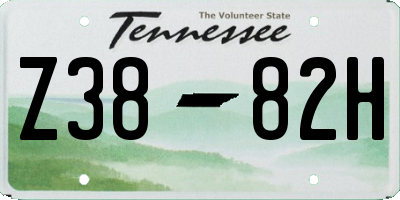 TN license plate Z3882H