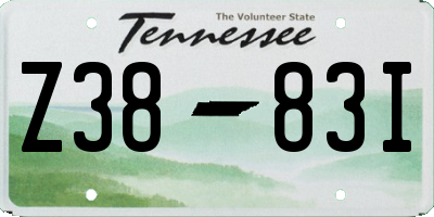 TN license plate Z3883I
