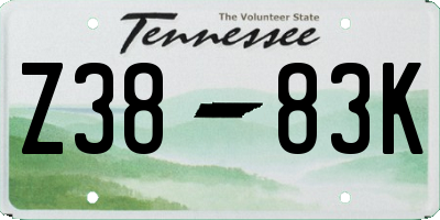 TN license plate Z3883K