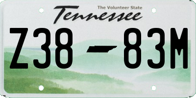 TN license plate Z3883M