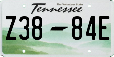 TN license plate Z3884E