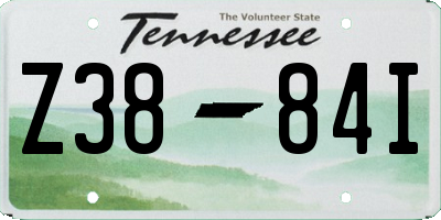 TN license plate Z3884I
