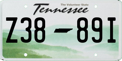 TN license plate Z3889I