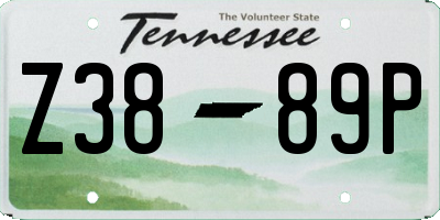 TN license plate Z3889P