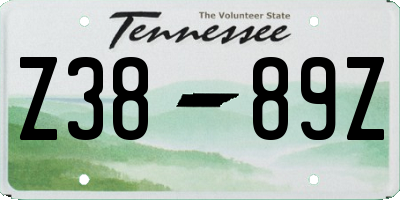 TN license plate Z3889Z