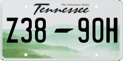TN license plate Z3890H